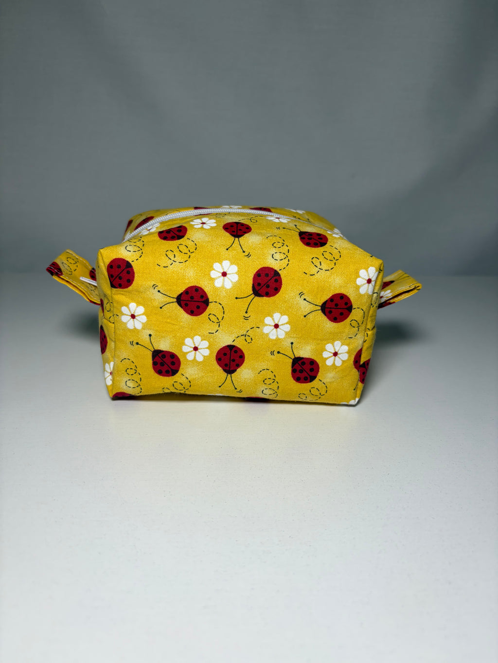 Ladybug