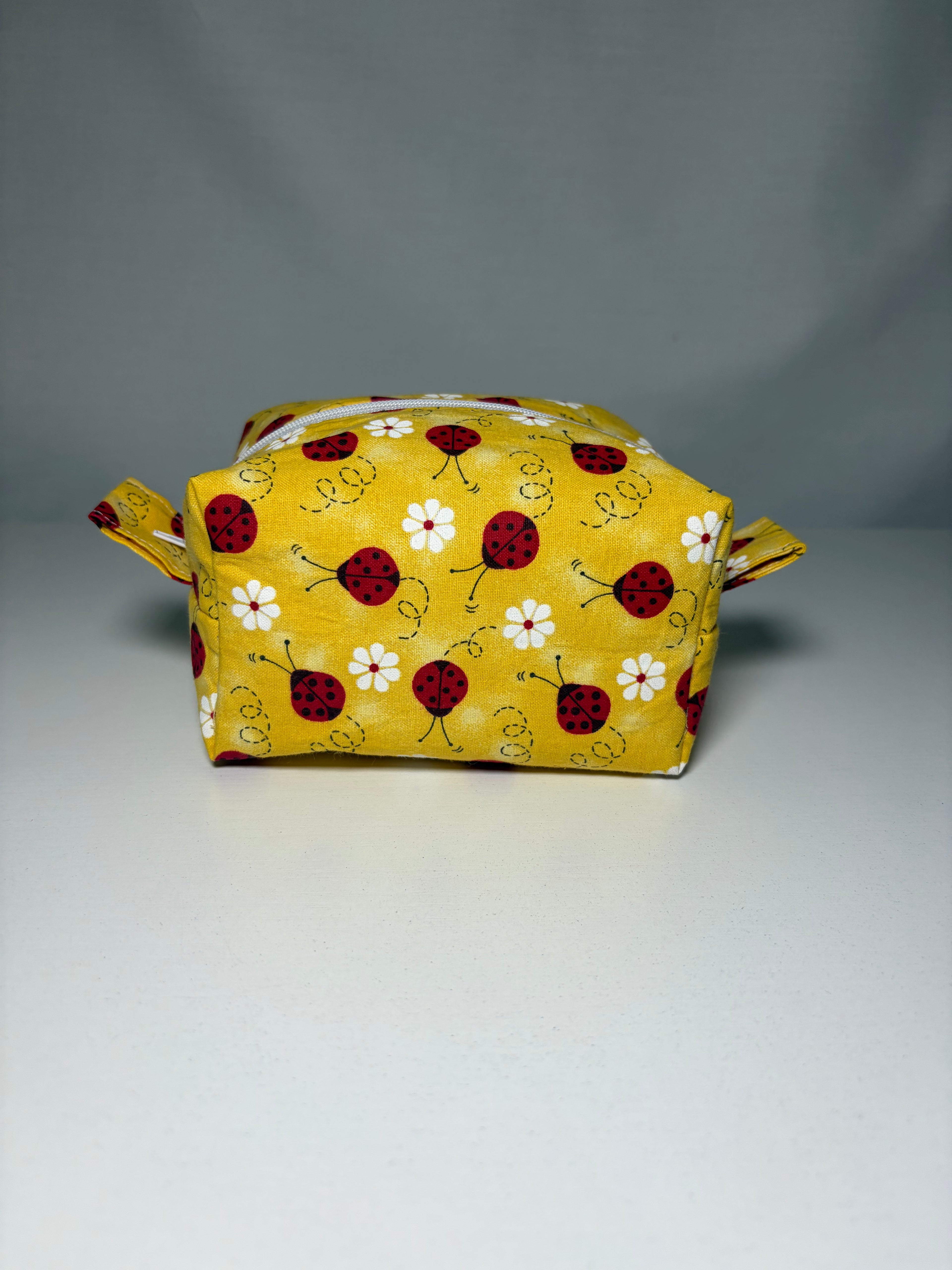 Ladybug