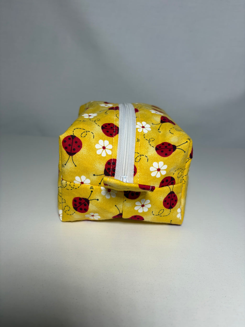 Ladybug